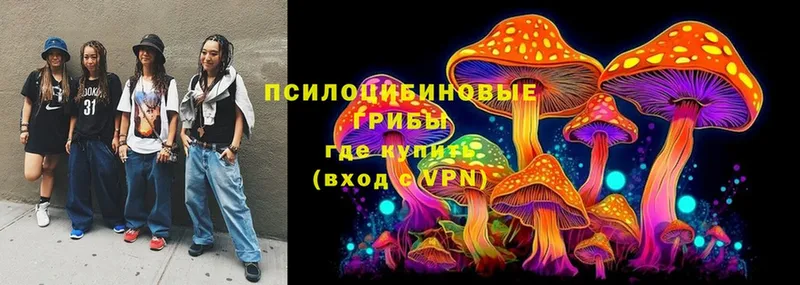 блэк спрут маркетплейс  магазин  наркотиков  Кропоткин  Псилоцибиновые грибы MAGIC MUSHROOMS 